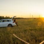 automotivebearings (112)